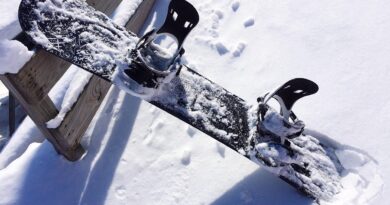 snowboard-izbor